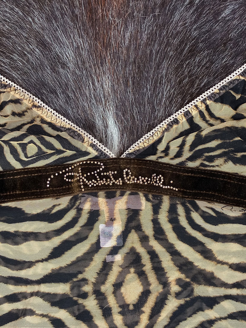 Roberto Cavalli 2000s Animal Print Mesh Cami with Velvet Detail