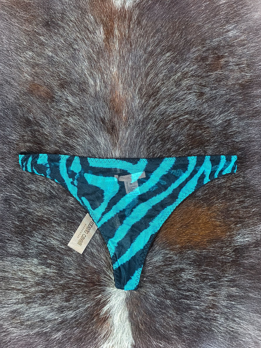 Roberto Cavalli 2000s Blue Zebra Mesh Tank and Thong Set (NWT)