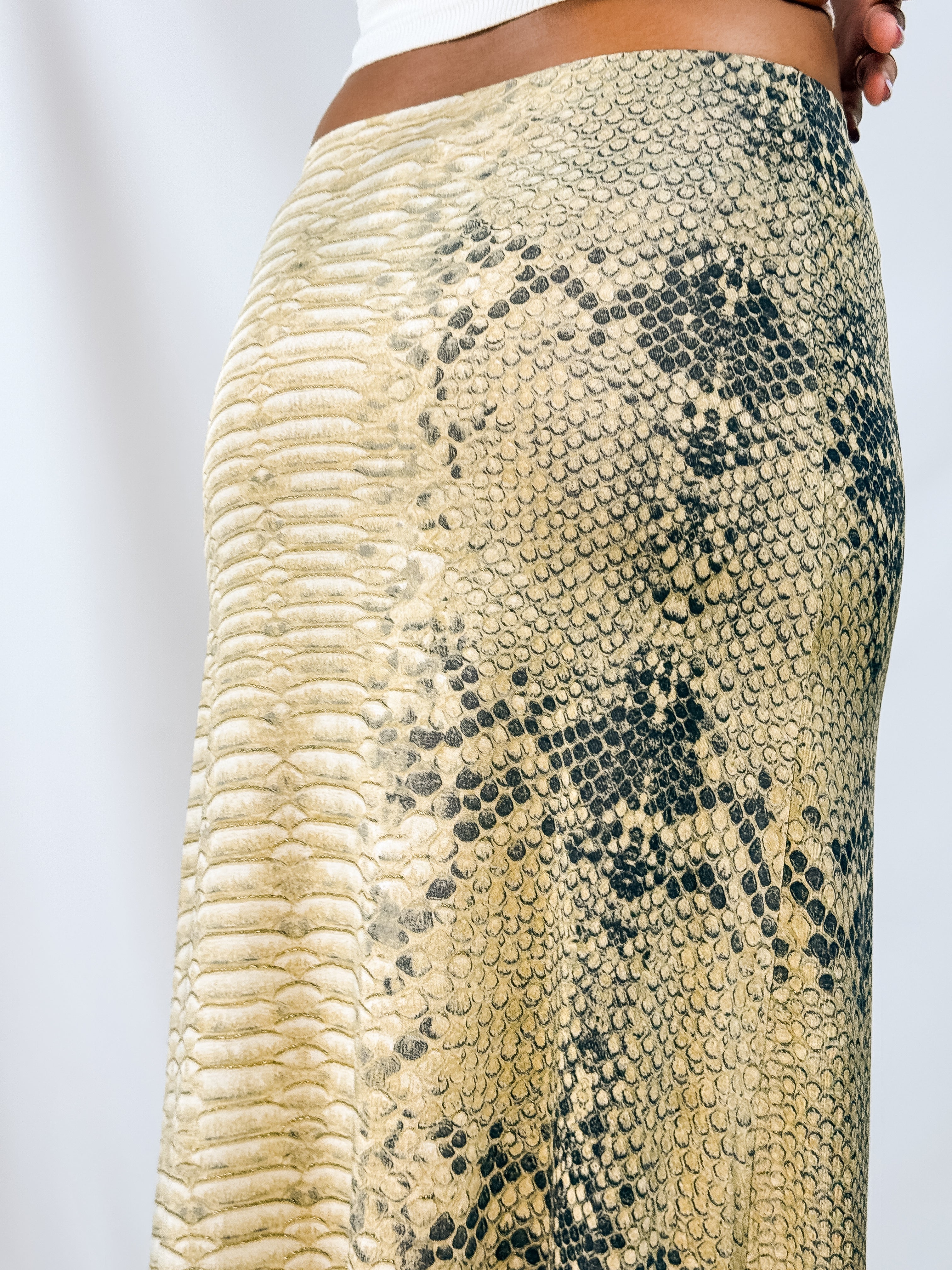Roberto Cavalli Freedom 2000s Python Print Low Rise Maxi Skirt - XS/L