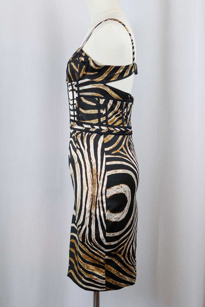 Roberto Cavalli 2000s Zebra Bustier Dress