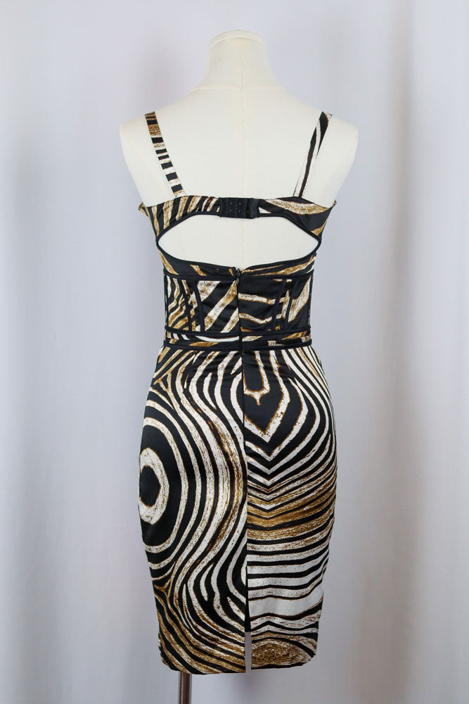 Roberto Cavalli 2000s Zebra Bustier Dress